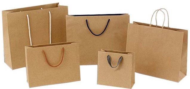 White Kraft Paper Shopping Bags with Strong Twist Handle – EcoQuality Store